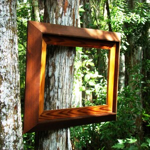 Pu&ograve; includere: Una cornice per foto in legno con finitura marrone e oro &egrave; appesa in un ambiente boschivo. La cornice &egrave; posizionata contro un tronco d'albero e lo sfondo &egrave; un'immagine sfocata di fogliame verde.