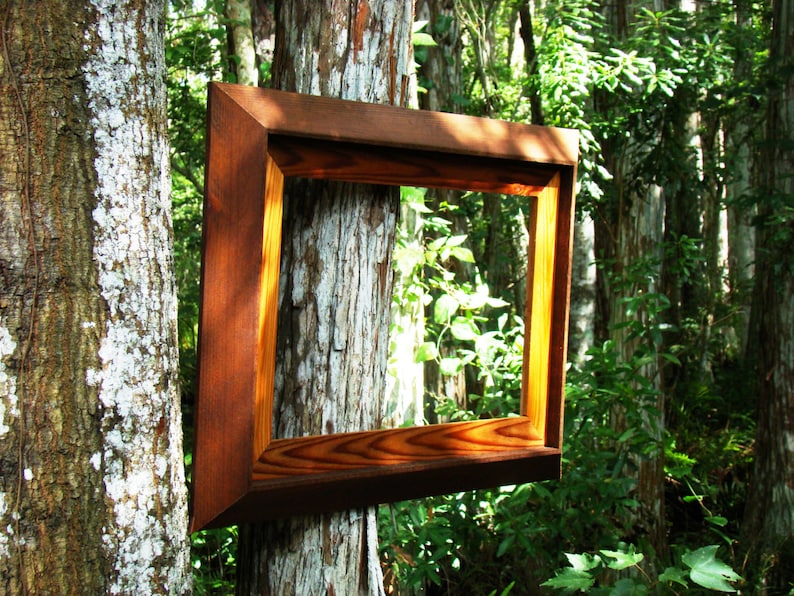 Pu&ograve; includere: Una cornice per foto in legno con finitura marrone e oro &egrave; appesa in un ambiente boschivo. La cornice &egrave; posizionata contro un tronco d'albero e lo sfondo &egrave; un'immagine sfocata di fogliame verde.