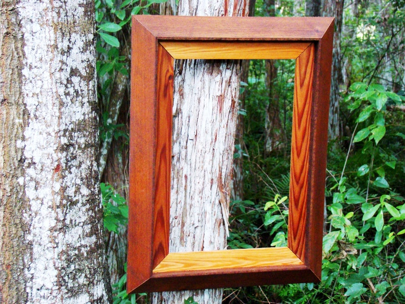 Pu&ograve; includere: Una cornice per foto in legno con una finitura in legno naturale. La cornice &egrave; realizzata con due tipi di legno diversi, uno con una tonalit&agrave; rossiccia pi&ugrave; scura e l'altro con un colore pi&ugrave; chiaro e naturale. La cornice &egrave; appesa a un tronco d'albero in un ambiente boschivo.