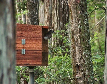 Premium wood duck house - wood duck box - handmade bird house for nesting wood ducks - strong, durable double laminated rustic cedar wood