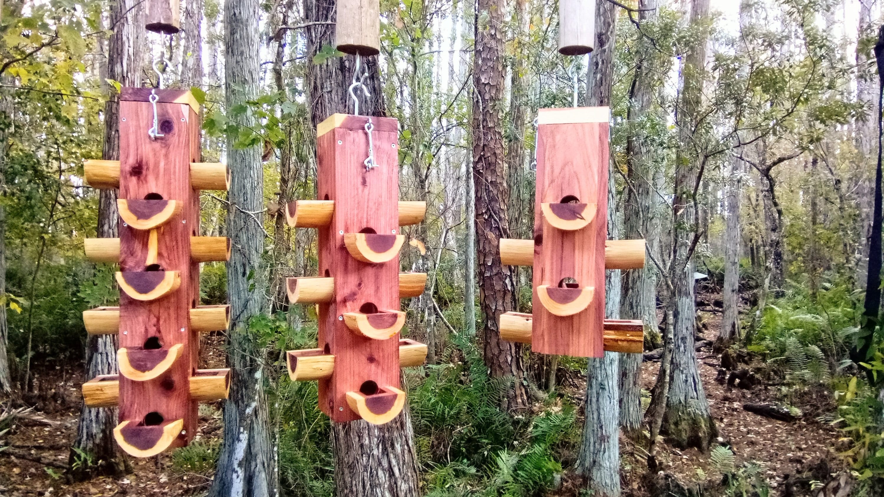 Outdoor bird feeders best sale