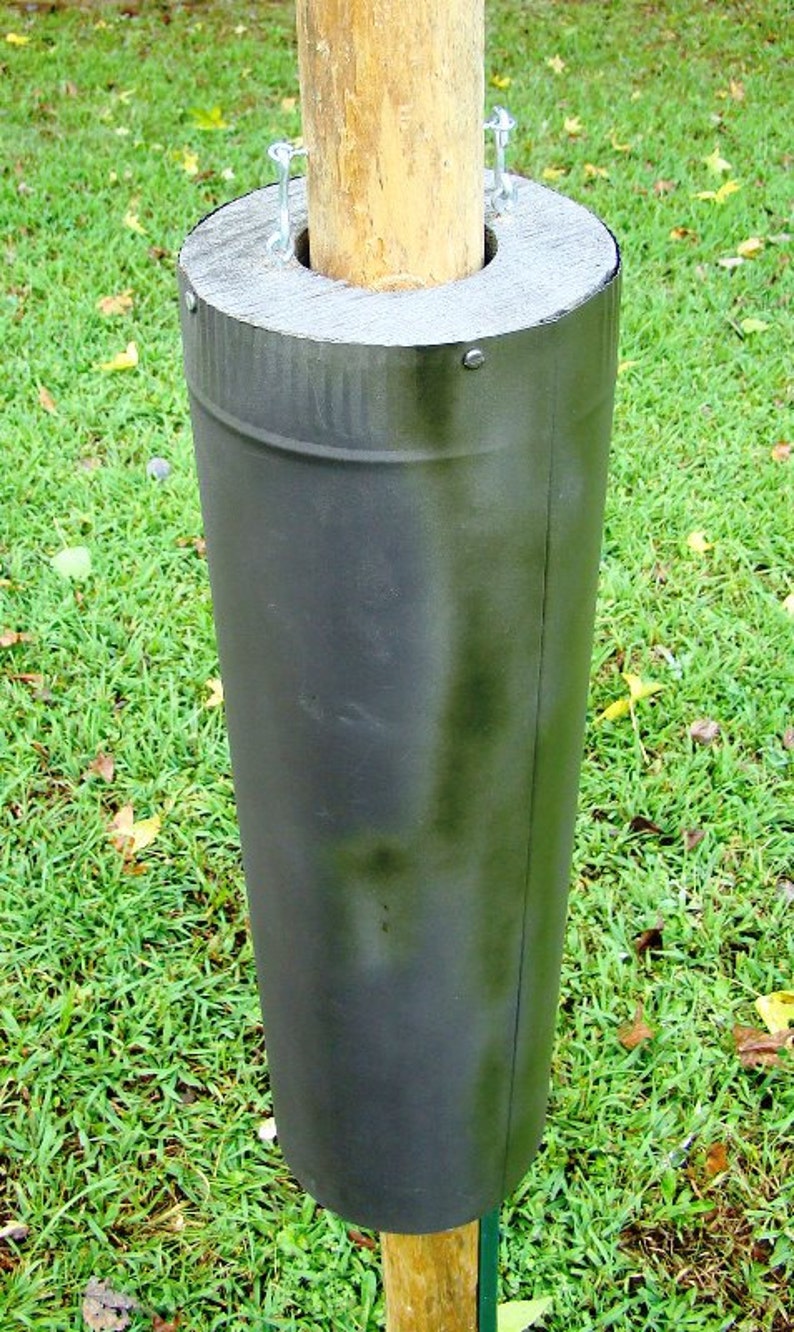 Bird feeder baffles and bird house pole predator guards Etsy