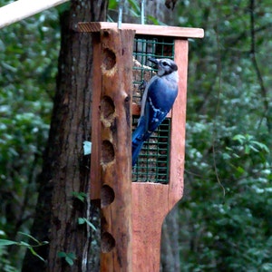 May include: A blue jay perched on a wooden bird feeder with a wire mesh cage. The feeder has multiple holes for birds to access the food. The feeder is attached to a tree with a metal hook.