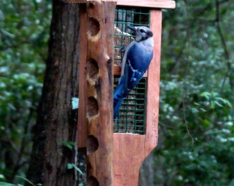 Double suet cake feeder attracts blue jays and warblers - large tail prop section also invites woodpeckers to feed on this wooden birdfeeder