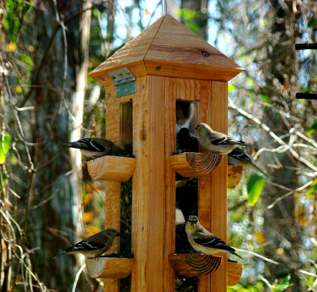Mangeoire à oiseaux en bois de cyprès rustique faite à la main