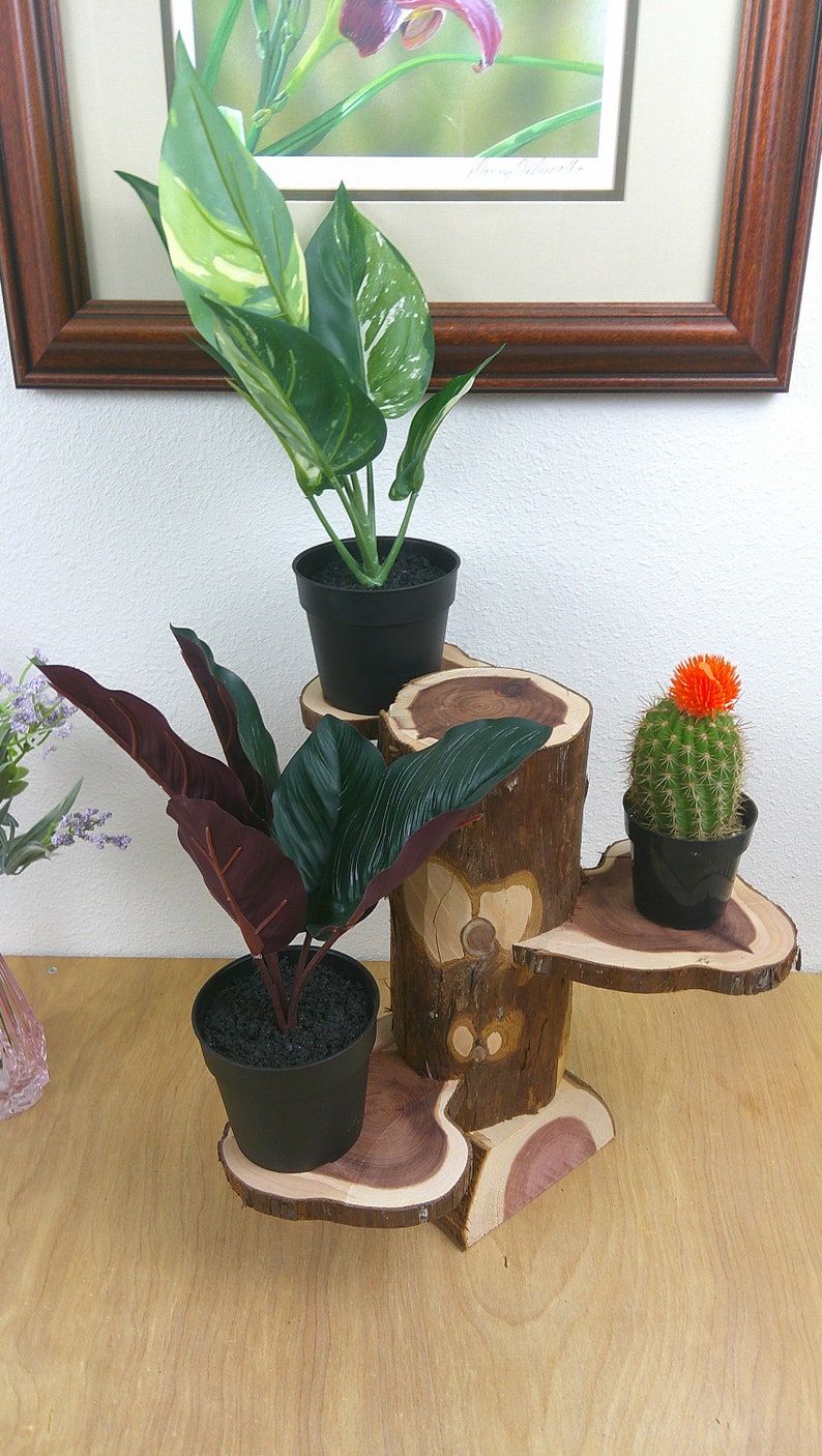 Pinterest Plant Riser Rustic Wood Display Riser, Plant Riser - Handmade Wooden Block Risers ...