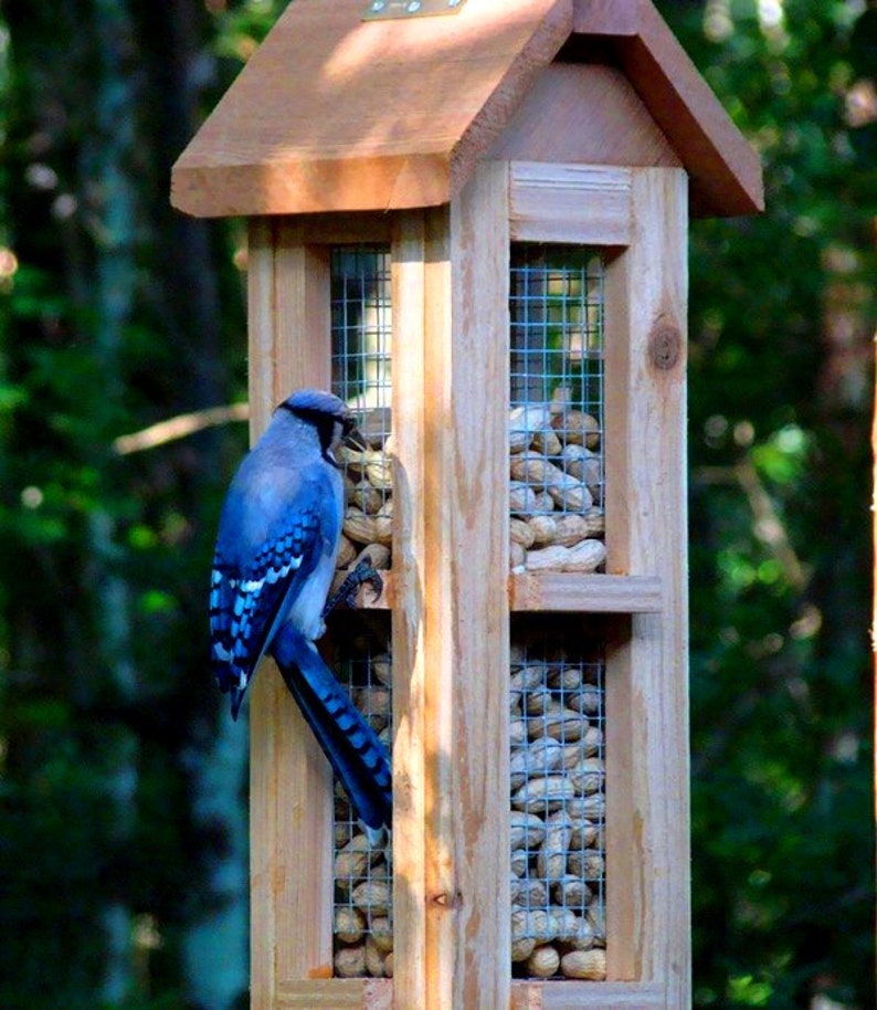 Beautiful cedar wood whole peanut bird feeders Unique bird feeders for blue jays and woodpeckers image 5