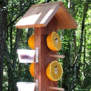 Cedar wooden birdfeeder for orioles - serve fruit and jelly from this double sided hanging bird feeer  to attract fruit eating wild birds