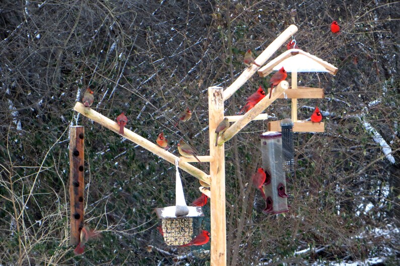 Bird Feeder Poles Stations And Bird House Poles Beautiful Etsy