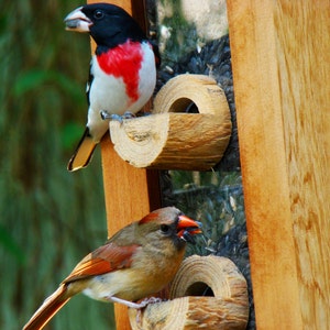 Bird feeder with beautiful unique new design - handmade with cedar wood - birdfeeder has hinged roof and removable front for easy cleaning