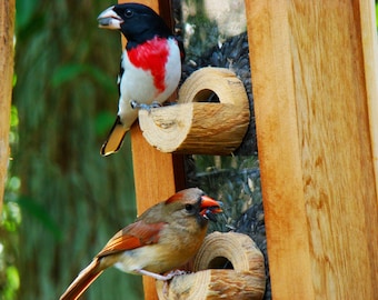 Bird feeder with beautiful unique new design - handmade with cedar wood - birdfeeder has hinged roof and removable front for easy cleaning