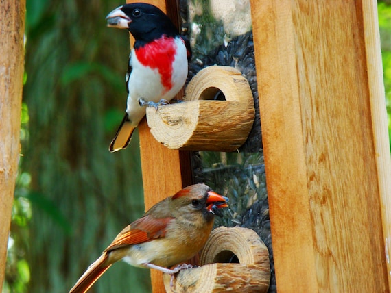 Bird Feeder With Beautiful Unique New Design Handmade With Etsy