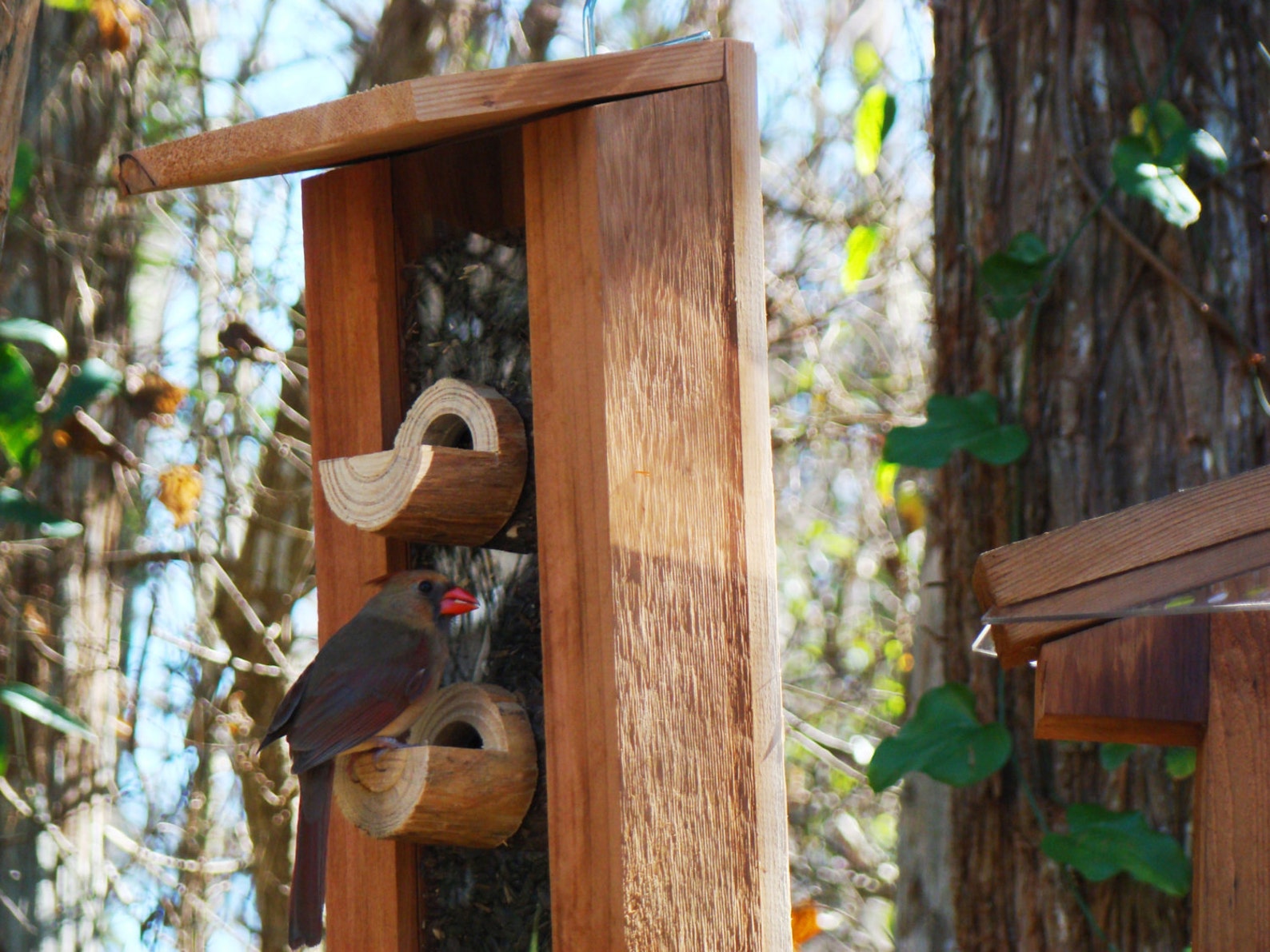 Bird feeder with beautiful unique new design handmade with Etsy