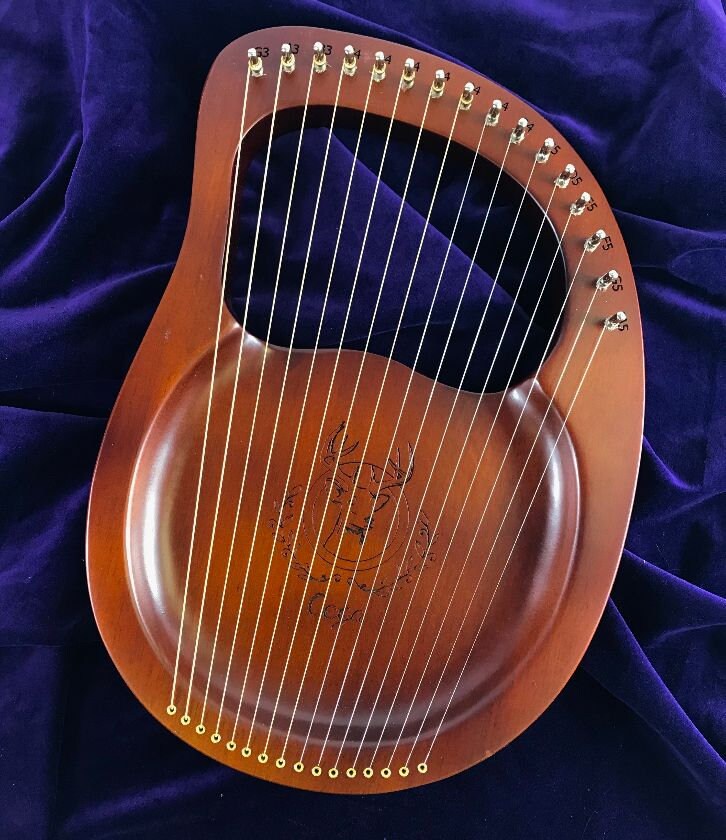 Salvi Harps For Sale Compare Easily May 2022