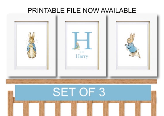 Peter Rabbit Nursery Wall Art Christening New Baby Present Poster A4 Print Only