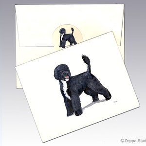 Portugisischer Wasserhund Grußkarten, Boxed Grußkarten, Personalisierte Grußkarten