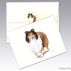 Cartes de correspondance chien de berger des shetland, cartes de correspondance en boîte, cartes de correspondance personnalisées