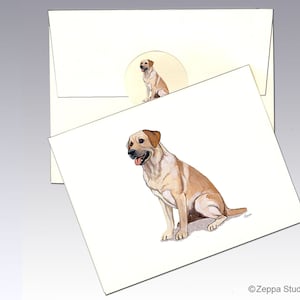 Yellow Labrador Note Cards, Boxed Note Cards, Personalized Note Cards
