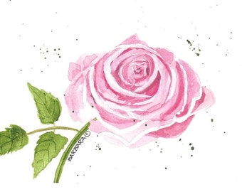 Rose, Pink Rose, Note Cards, Blank Inside, Wall Prints - No. 2122  'Another Dream'