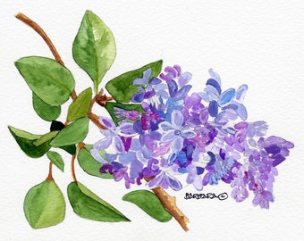 Lilacs, Watercolor Notecards, Handmade Notecards, BLANK INSIDE - No. 1023 Our Transplanted Lilac