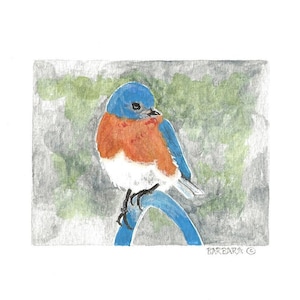 Bluebird Watercolor Note Cards - No.  1116   Eastern Bluebird