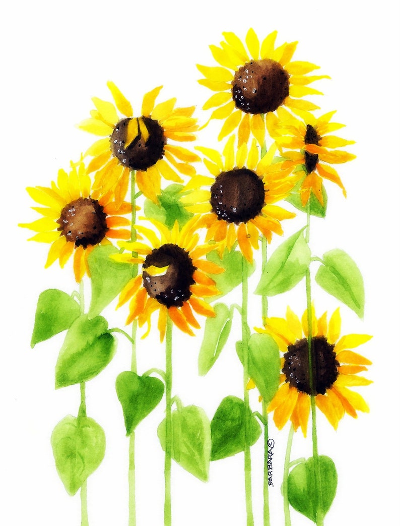 Tournesols Dessin Tournesols Dessin | AUTOMASITES