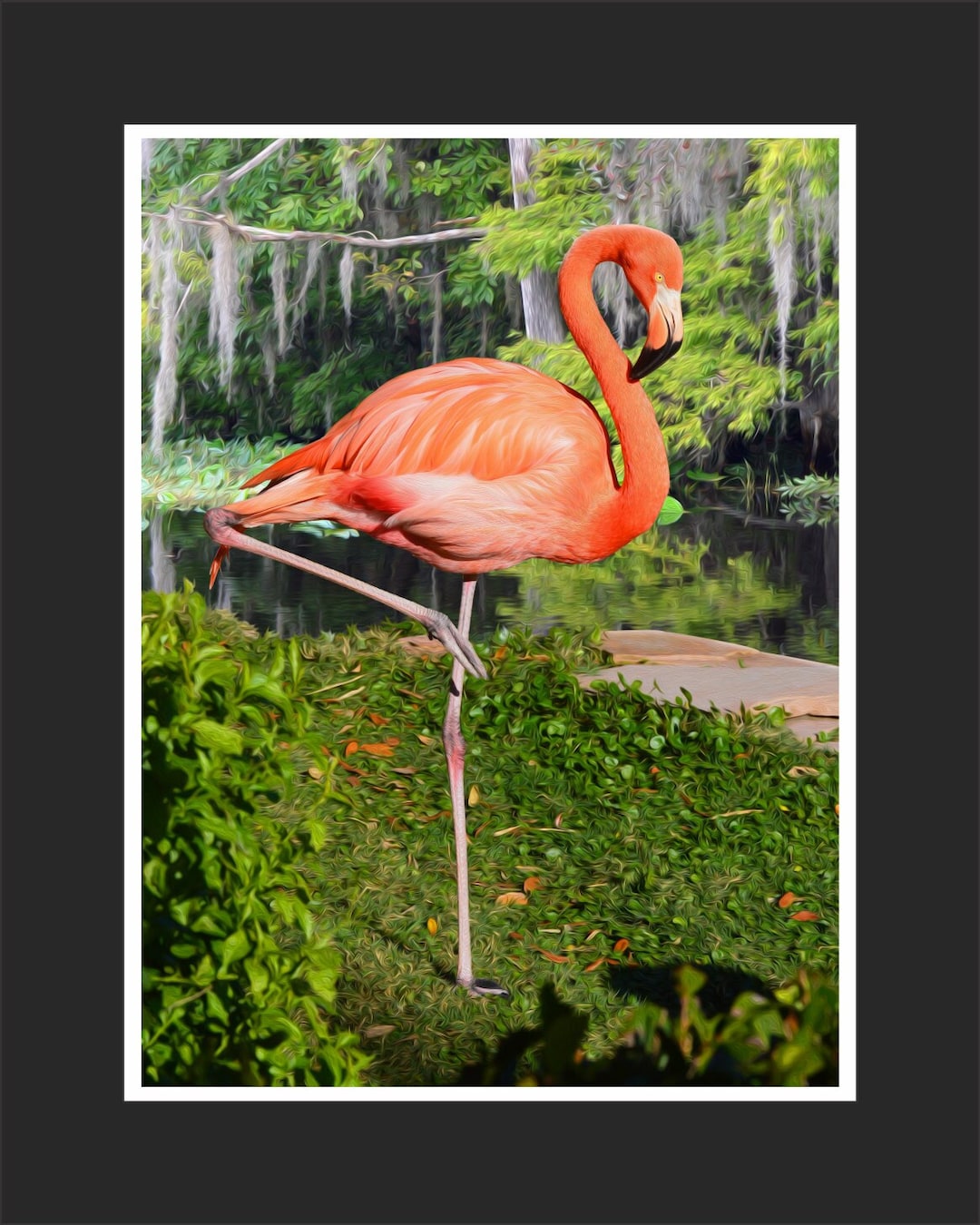 Pink Flamingo Wall Art Print Meet floyd / Etsy