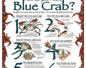 How to Pick a Blue Crab / Wall Art / Poster Print / Crab