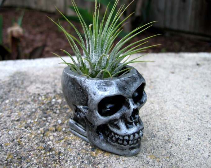 Skull succulent planter, casting stone plant container, goth home decor
