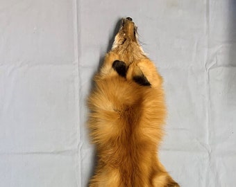 Wild Red Fox Pelt w/Feet