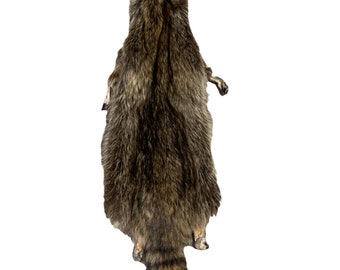 Raccoon Pelt w/Feet (NEW) (RAC-22)