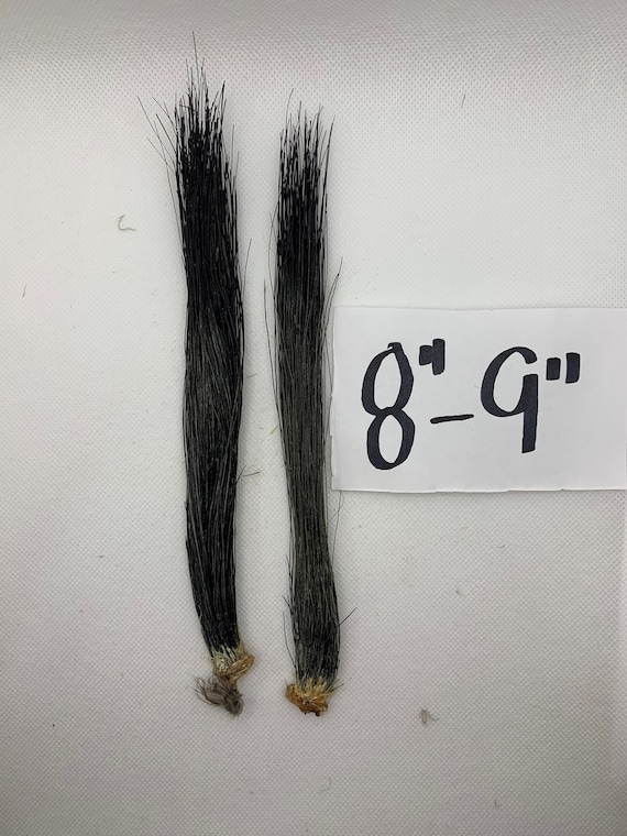 Turkey Beards choose Your Size 1 per Order Etsy