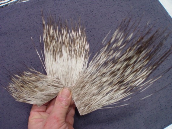 Peccary Fly Tying Material 2025