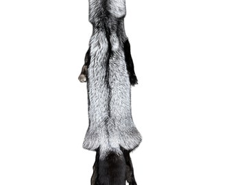 Ranch Silver Fox w/feet #1 Taxidermy/Soft Mounts
