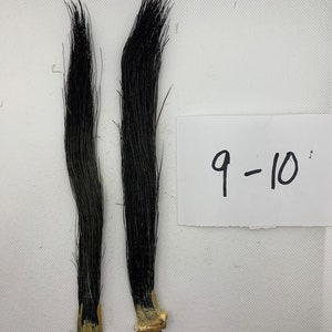K&ouml;nnte beinhalten: Zwei schwarze Pferdeschwanz-Haare mit wei&szlig;em Ansatz, vor wei&szlig;em Hintergrund. Der Text "9-10" ist auf einem wei&szlig;en Papier geschrieben.