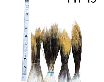 4 1/2" - 8" +    (1.90oz)  Finest North American Porcupine Guard Hair (PH-19)