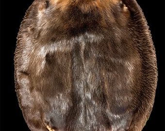 Beaver Pelt Tanned #1 (2X)