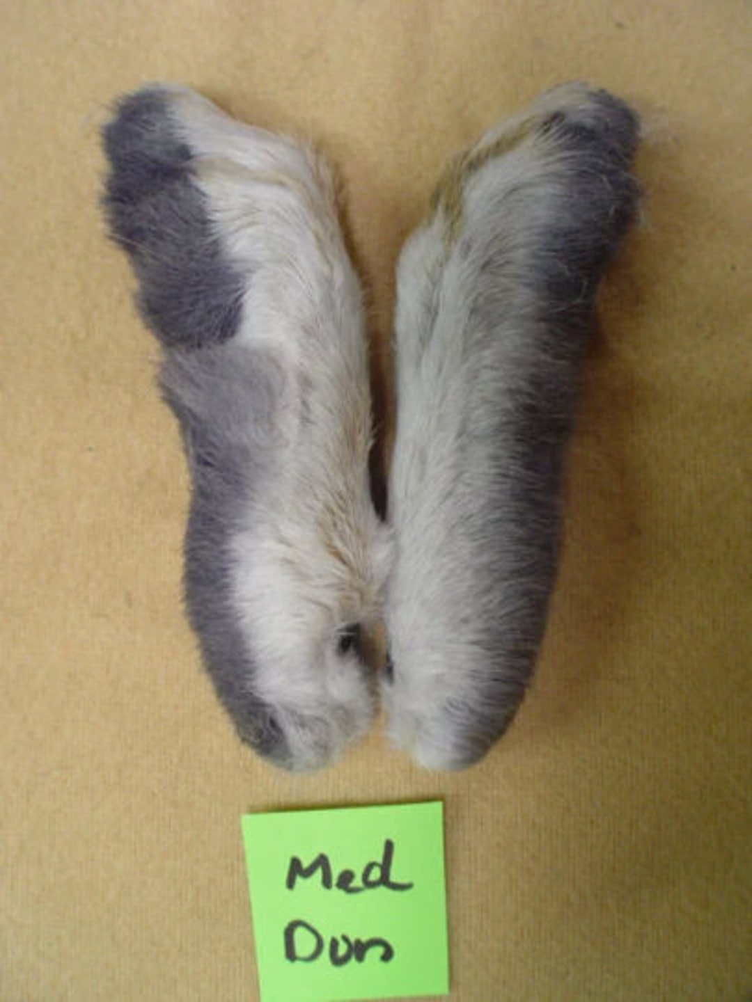 Snowshoe Rabbit Back Feet, Choose You Color Light, Med, Dark Gray/dun ...