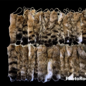 Genuine Bobcat tails keychain  (Bundle of 25)