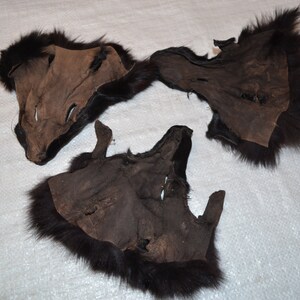 FOX Face dyed black image 4