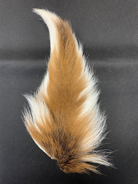 White Buck Tails Premium Fly Tying Fishing Material