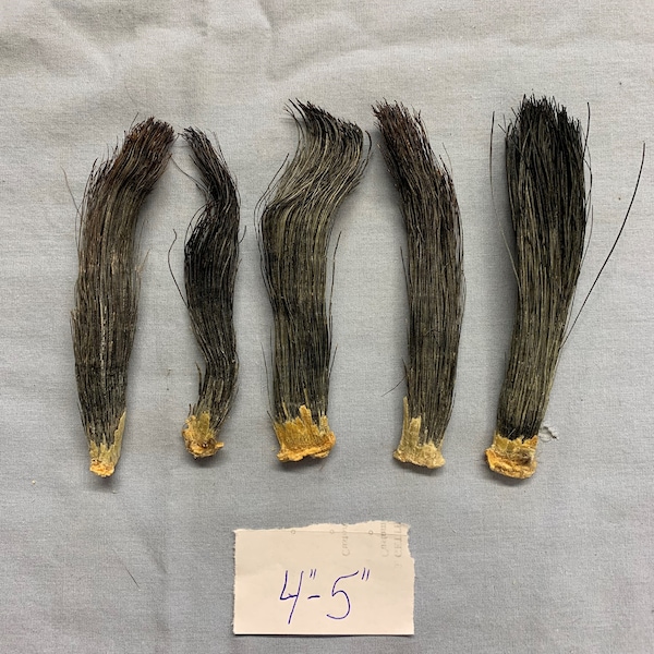 Turkey Beards (Choose your size)