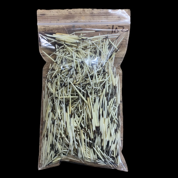 Porcupine Quills Etsy