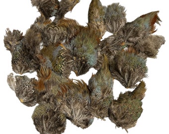 Pheasant Saddle Patch Pieces 1/4lb (PHS-12) Fly tying,Craft feathers,Fly fishing