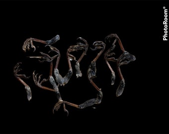 Starling Feet (choose your quantity)