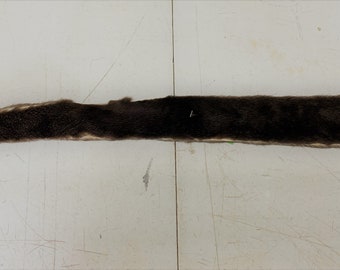 River Otter Strips Pairs (Belly cut)