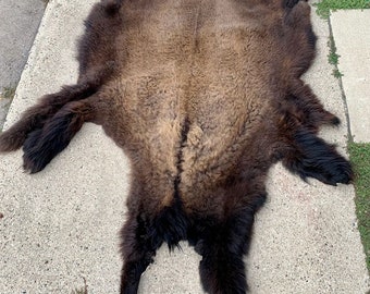 Hair on Bison hide #1 Winter Fur (NEW)