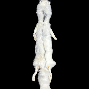 Ranch Grey Marble Fox w/feet #1 Taxidermy/Soft Mounts (RanchM-99)