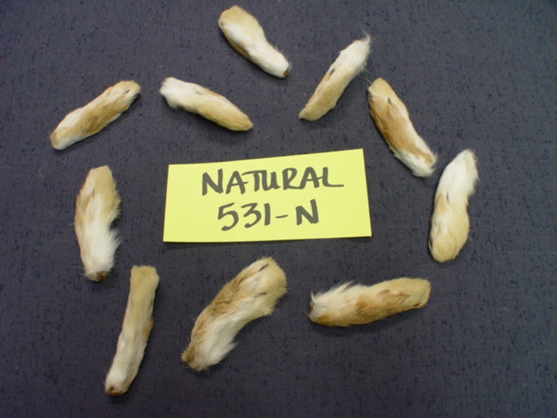 10 Natural or Dyed Snowshoe Rabbit Front Feet Fly Tying Lures Etsy