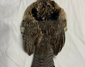 Ruff Grouse Skin for fly tying Grey Phase select #1 RG3